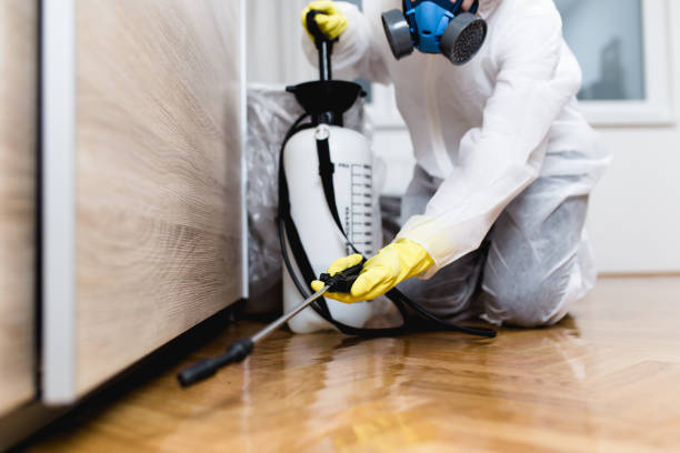 Best Commercial Pest Control Services  in Port Jefferson, NY