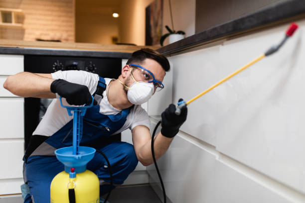 Best Best Pest Control Companies  in Port Jefferson, NY
