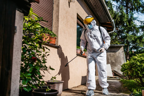 Best Wasp Removal Services  in Port Jefferson, NY