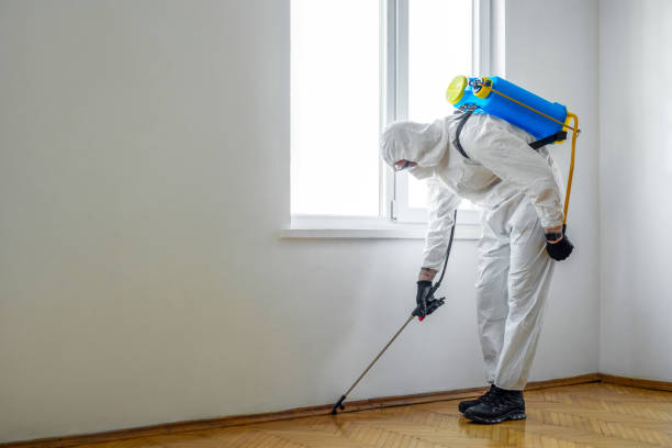 Port Jefferson, NY Pest Control Company
