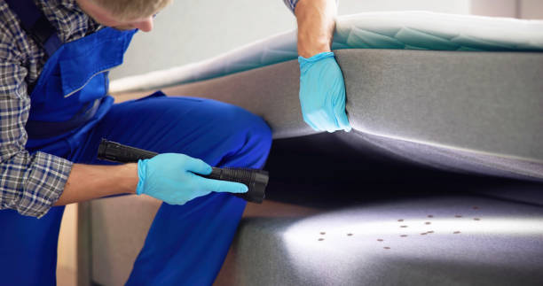 Best Affordable Pest Control Services  in Port Jefferson, NY