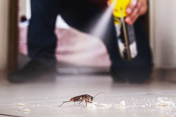 Pest Control for Restaurants in Port Jefferson, NY
